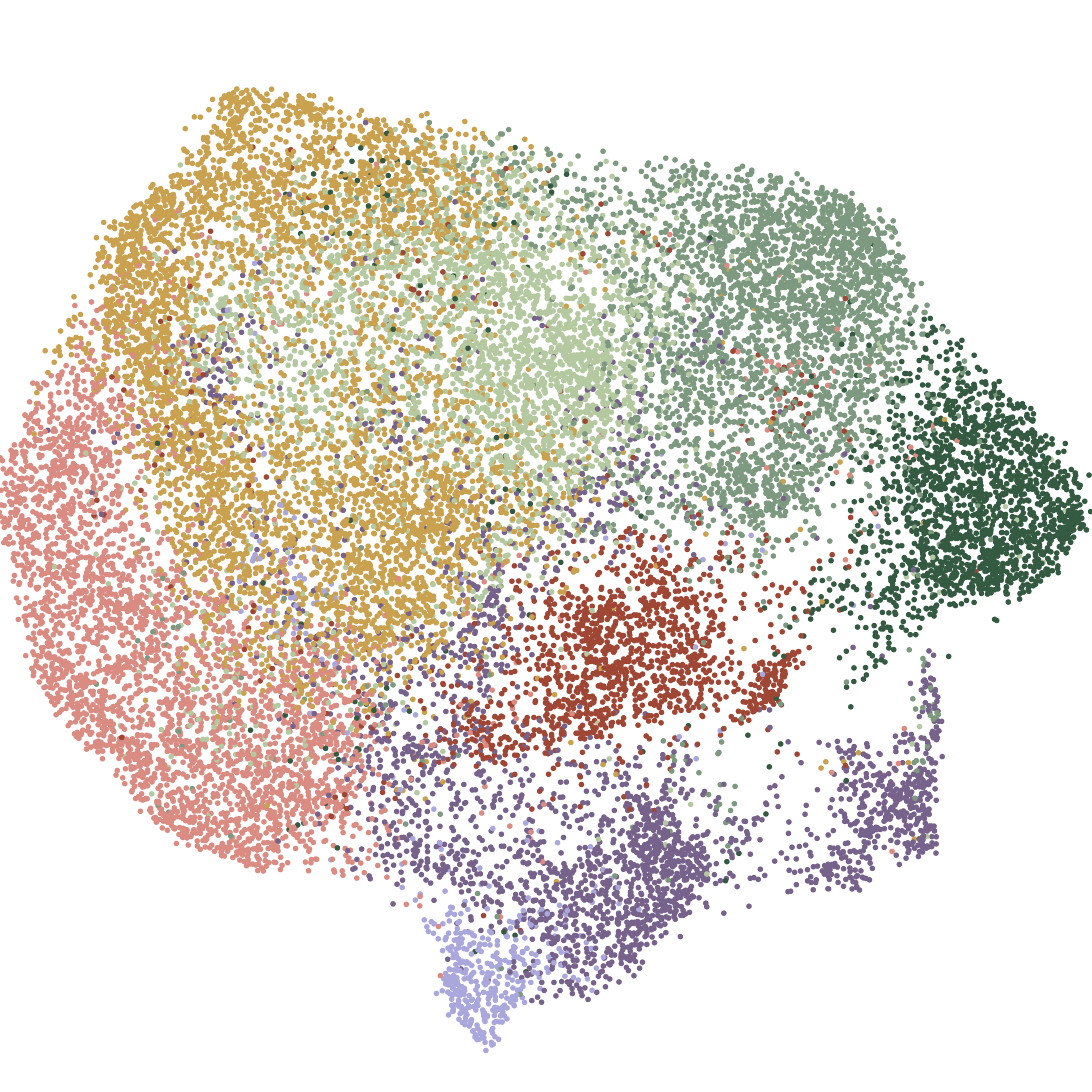 Single Cell Microglia